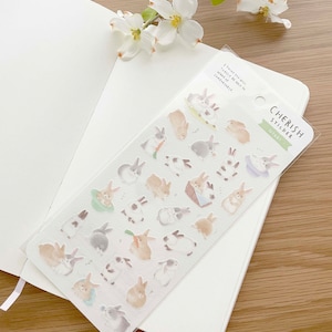 Washi Sticker - Cherish Series - Usagi - Rabbit - Semi-Clear - 1 sheet
