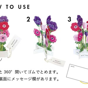 Greeting Card - Happy Birthday - 3D Pop up Flower Bouquet - Daisies - 1 ...