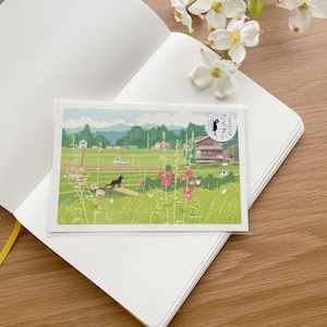 Carte postale - Tabineko Travelling Cats - Summer Exploring - 1 pièce