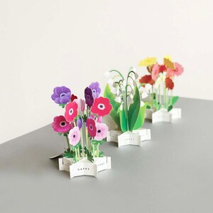 Greeting Card - Happy Birthday - 3D Pop up Flower Bouquet - Daisies - 1 ...