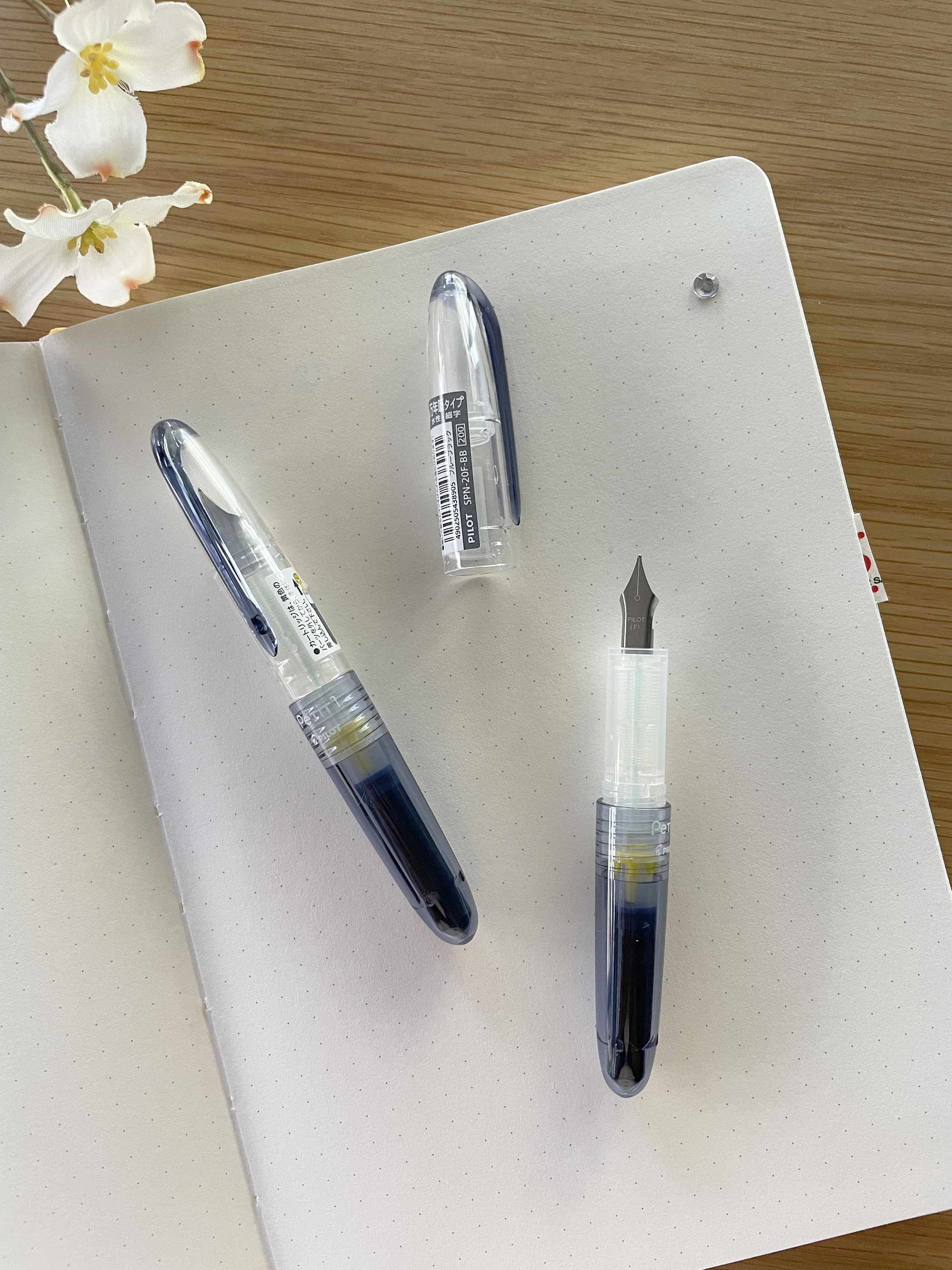 Platinum Preppy Fountain Pen - Fine Nib - 0.3mm - Black Ink — La Petite  Cute Shop