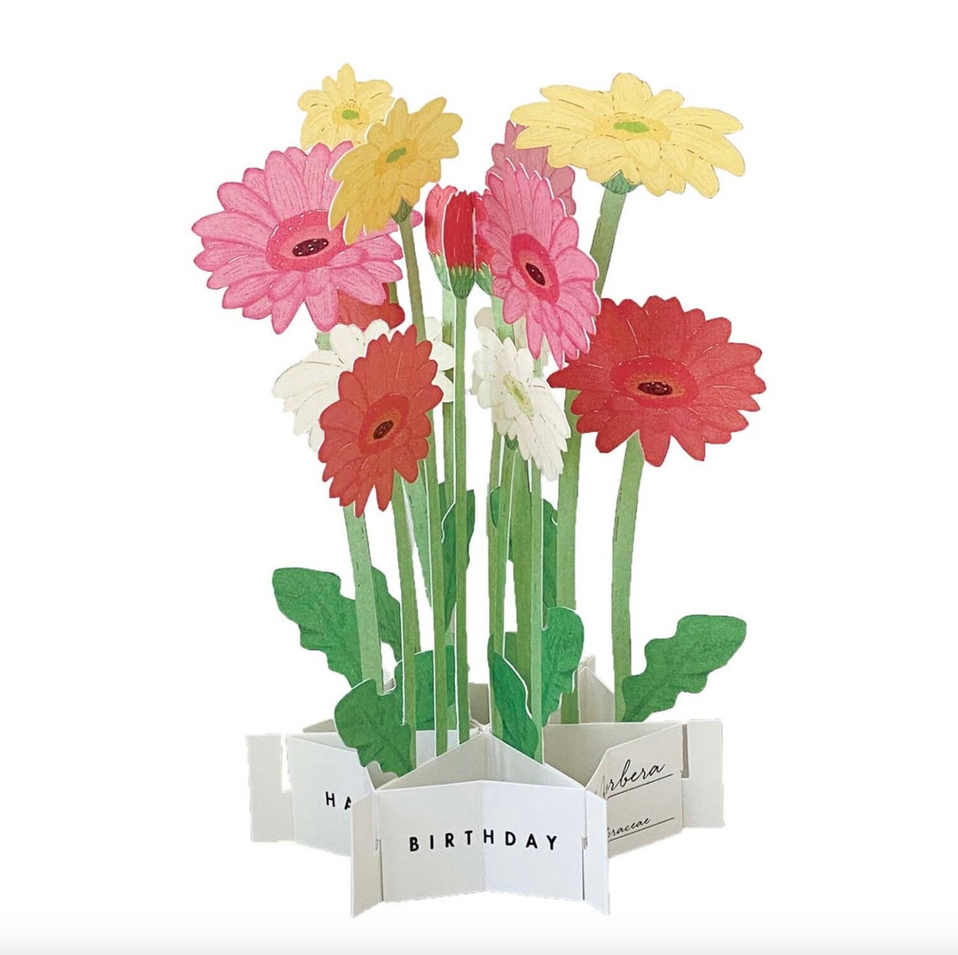 Greeting Card - Happy Birthday - 3D Pop up Flower Bouquet - Daisies - 1 ...