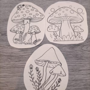 K&ouml;nnte beinhalten: Drei Schwarzwei&szlig;-Zeichnungen von Pilzen auf wei&szlig;em Papier. Die Pilze sind detailliert gezeichnet und haben einen verspielten Charakter.