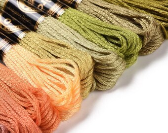 Gradient autumn colours embroidery floss - set of 12