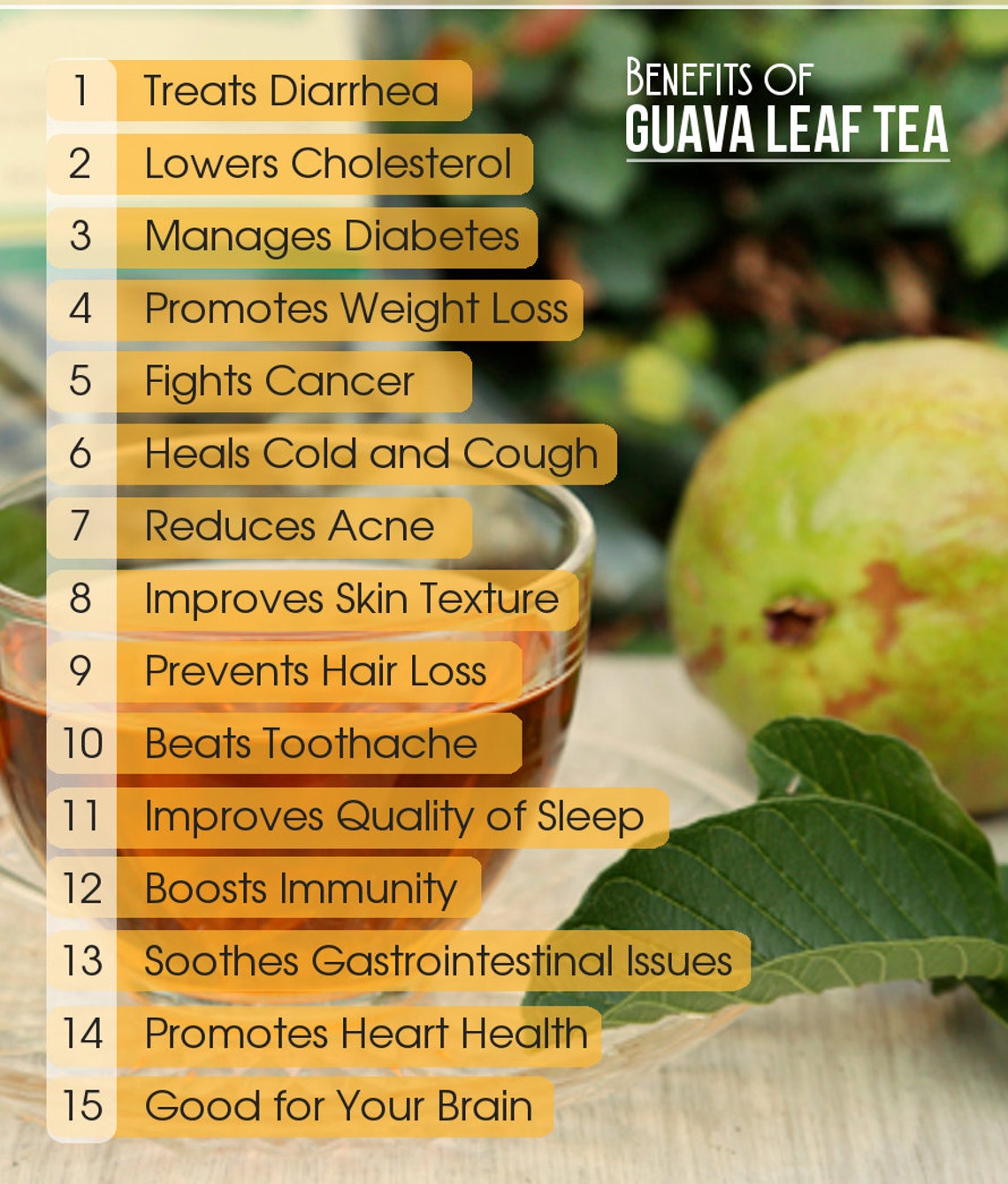 100 Organic Dried Guava Leaves Powder for Herbal Tea and Skin Etsy