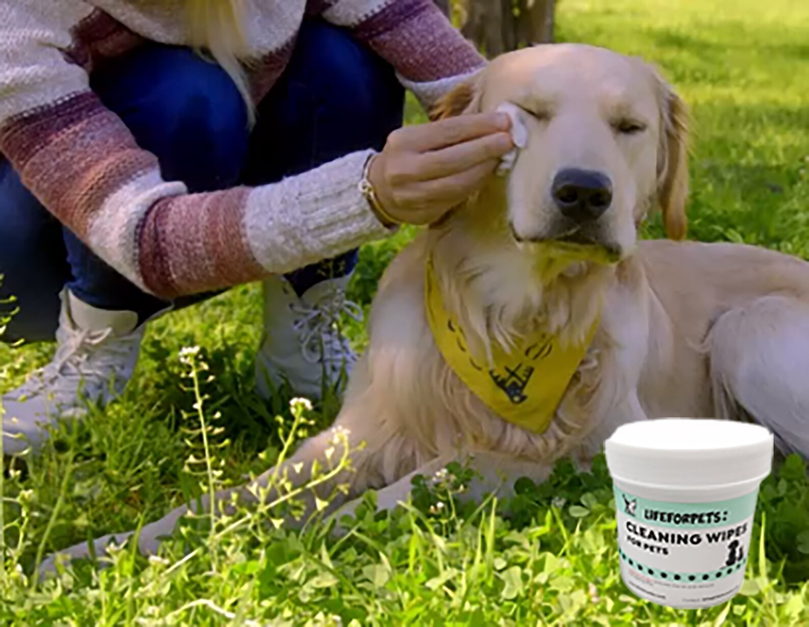 Dog Tear Stain Solutionpet Eye Wipes for Dogs Puppies Natural Etsy