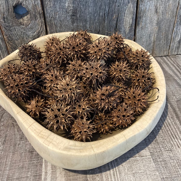 10' inch Elm Bowl, Wooden Bowl, Decorative Bowl, Centerpiece, Fall Decor, Rustic Bowl, Fruit Bowl