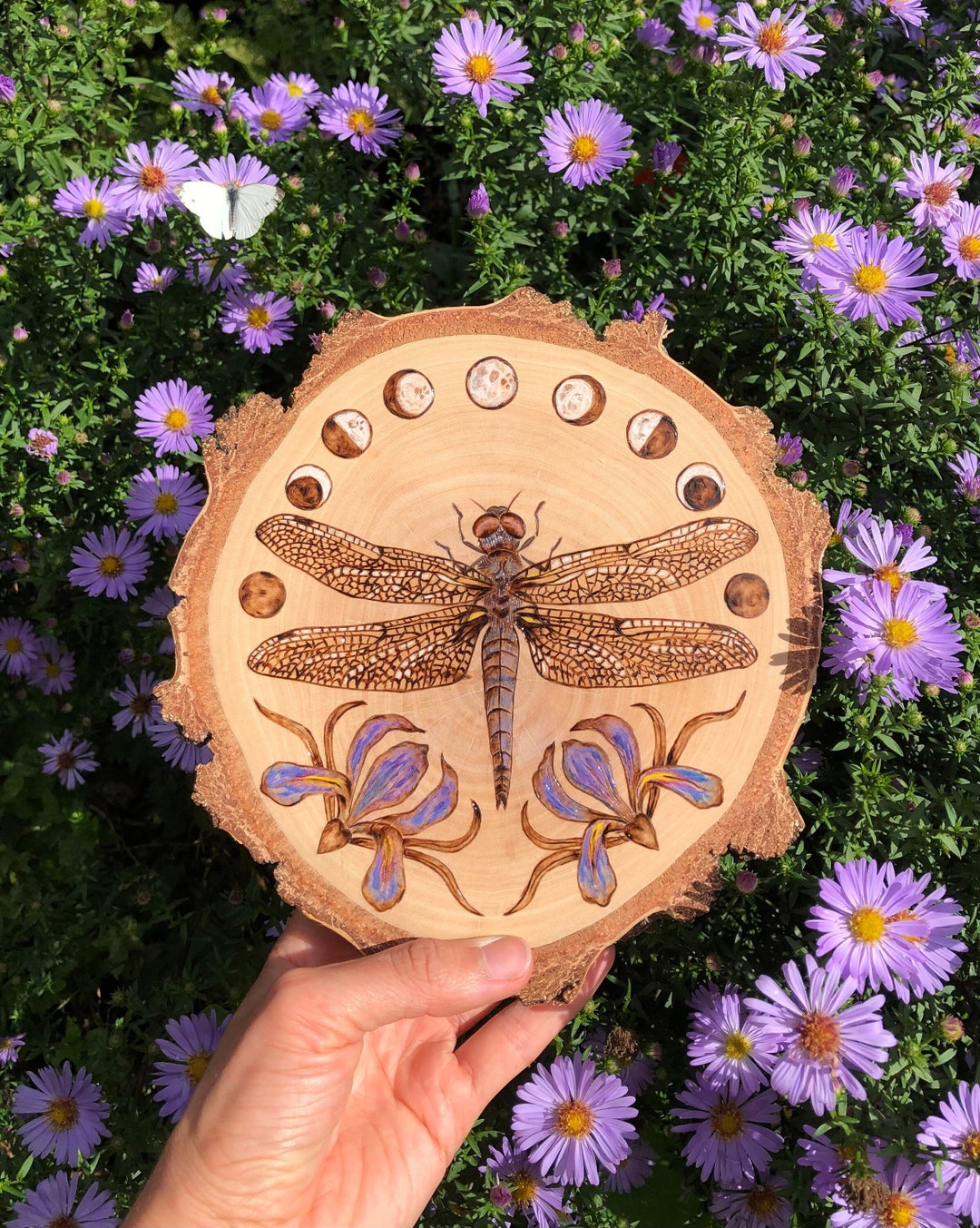 Pyrography Art Scare Chaser Dragonfly Woodburning Iris Flower Moon ...