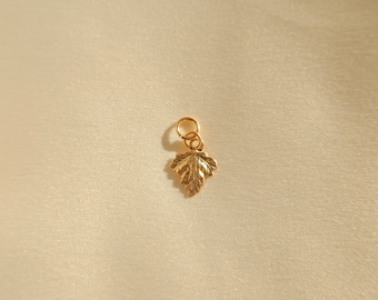 Build Your Own Earrings