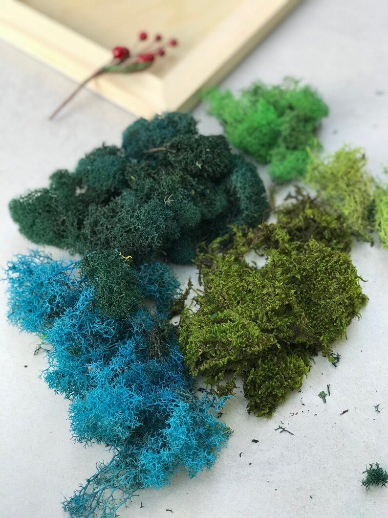 DIY Moss Art Moss Wall Art DIY Kit Preserved Moss DIY Etsy