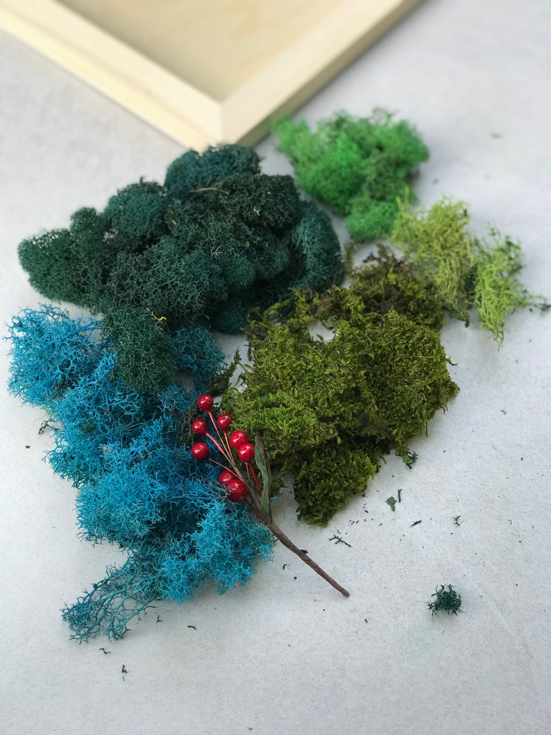 DIY Moss Art Moss Wall Art DIY Kit Preserved Moss DIY Etsy