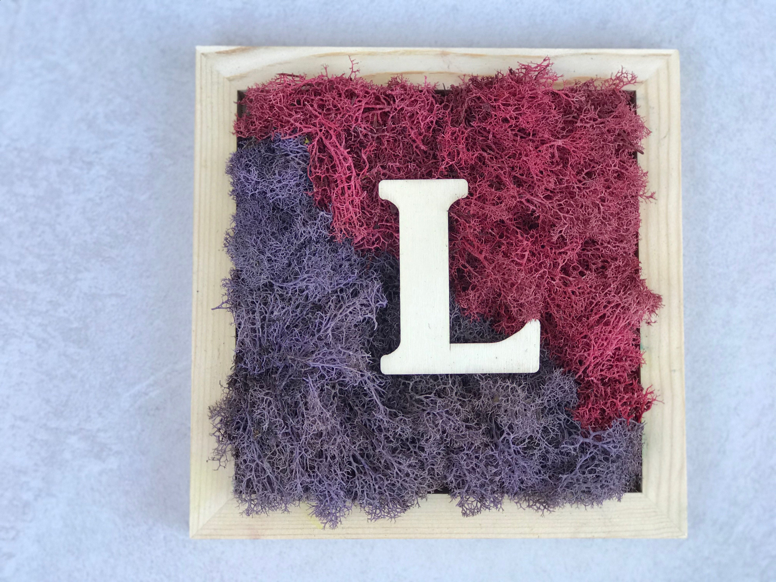 DIY Moss Art Letter Kit: Craft Your Personalized Nature-Inspired