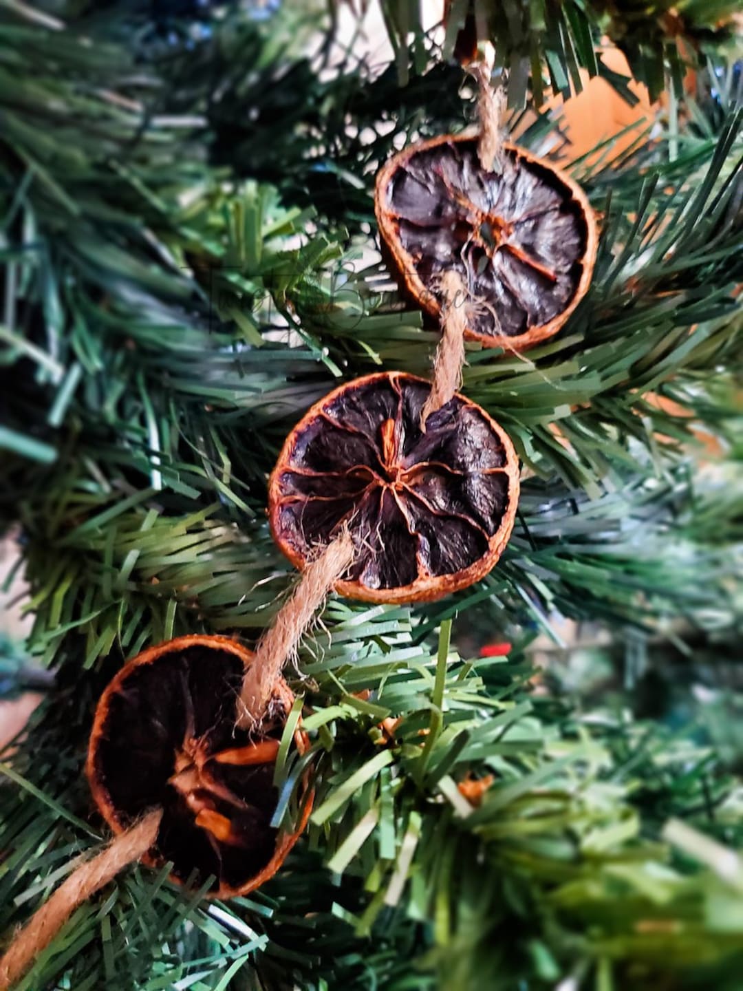 Dried Lemon Garland Etsy