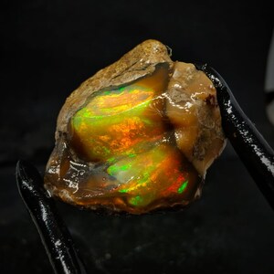 Pode incluir: Uma pedra natural áspera, de cor marrom, com uma opala iridescente de cores vibrantes, verde, laranja e vermelho no seu interior. A pedra está sendo segurada por uma pinça de metal preto.
