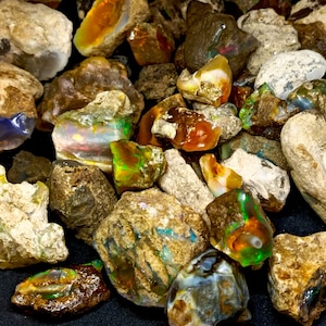 May include: A collection of rough opal stones in various shades of brown, gray, and white with iridescent flashes of green, blue, and orange.