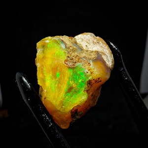 33 crt AAA Welo Fire Opal Rough: pedra preciosa natural da Etiópia