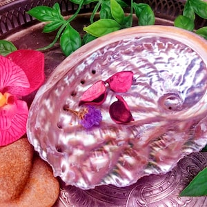 May include: A close-up of a pearlescent abalone shell with pink and purple accents, adorned with dried flower petals and a vibrant pink orchid. Green leaves and a small stone add to the natural aesthetic.