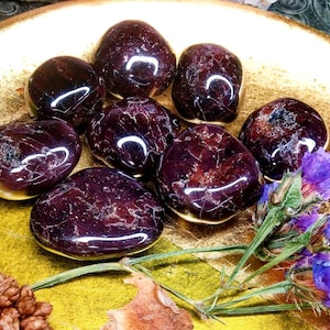Garnet Crystal For Sensuality, Includes 1 Garnet Crystal Information Card, Aquarius Zodiac Stone, Tumbled Gemstones