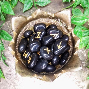 May include: A collection of polished black rune stones with gold-colored symbols, displayed in a decorative silver-colored bowl. The bowl has a unique, petal-like shape. Green foliage surrounds the bowl, adding a natural element to the composition.