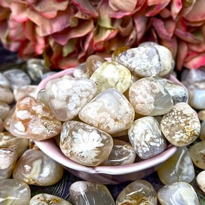 Flower Agate Crystal, Includes Crystal Information Card, Tumbled Flower Agate Gemstones, Flower Agate Crystals