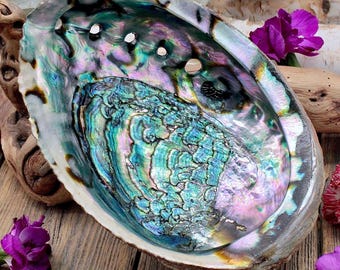 Abalone Shell (Rainbow) For Smudging, Powerful Negative Energy Cleanser, Pagan Ceremonial Tool