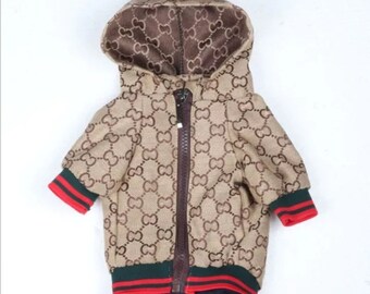 dog gucci jacket
