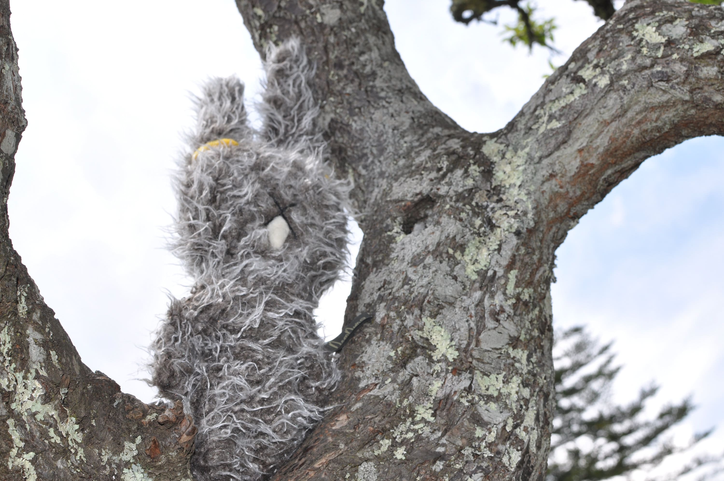 Charmless Rabbit _grey Unique Handmade Needle Felt Stuffed - Etsy