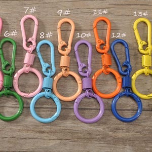 Può includere: Una collezione di portachiavi colorati con moschettoni e anelli circolari. I portachiavi sono in vari colori, tra cui rosso, rosa, verde, blu, arancione, giallo, bianco, marrone e nero. Ogni portachiavi ha un moschettone e un anello.