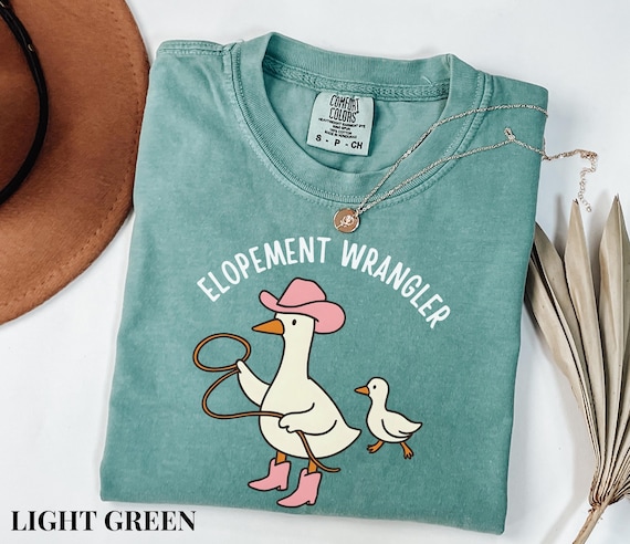 Comfort Colors ABA Shirt, RBT Shirt, Sped Teacher Shirt, Aba Therapy Shirt, Neurodiversity Shirt, BCBA Gift, Elopement Wrangler Goose Shirt