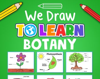 Botany Drawing Tutorials: Homeschool Science (PDF Download)