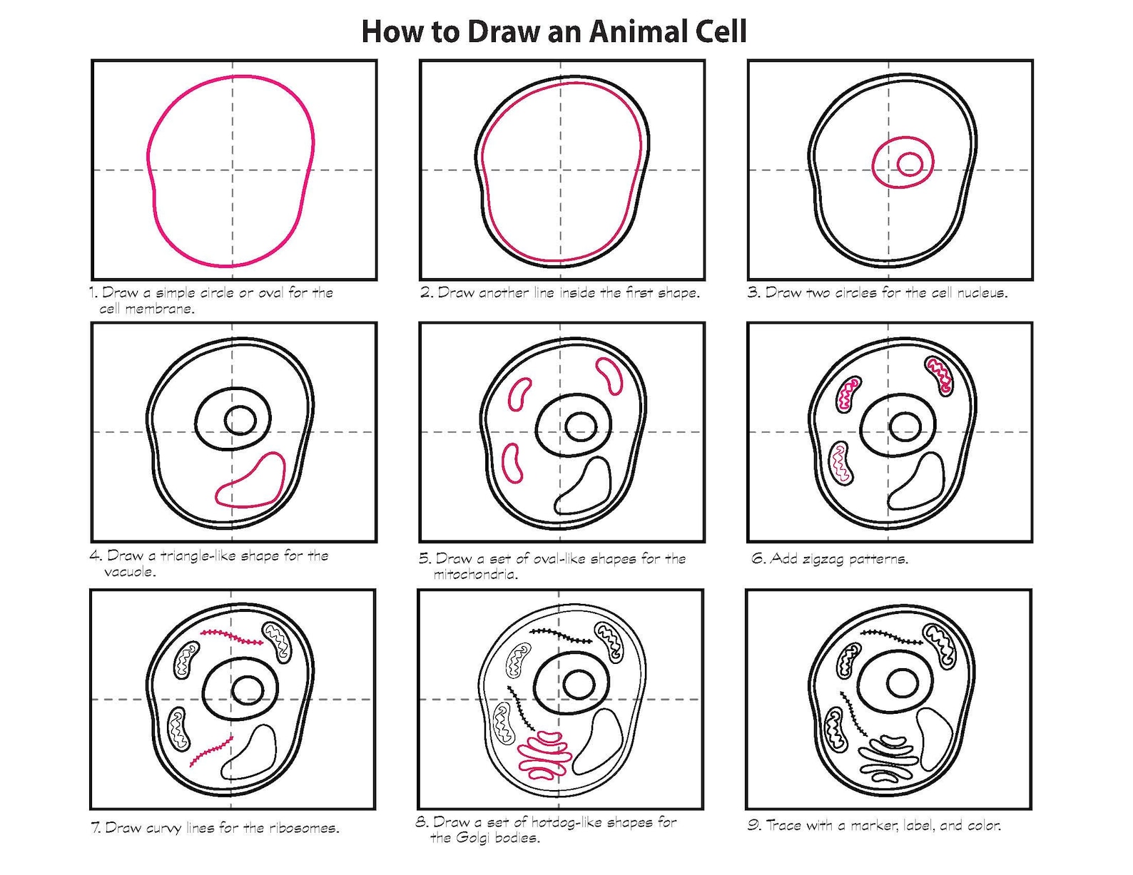 CC Cycle 1 How to Draw Science Memory Work | Classical Homeschool | CC ...