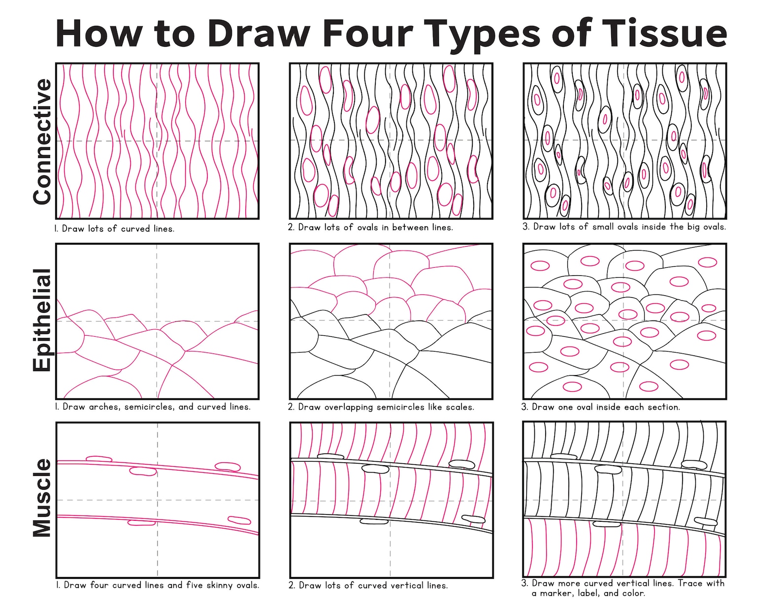 CC Cycle 3 Science | How to Draw Science Memory Work Ebook | Classical ...