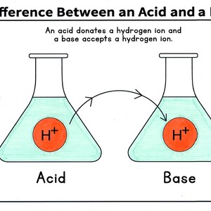 May include: A diagram illustrating the difference between an acid and a base. The diagram shows two beakers, one labeled "Acid" and the other labeled "Base". Each beaker contains a solution with a red circle representing a hydrogen ion (H+). An arrow shows the hydrogen ion moving from the acid beaker to the base beaker. The text "An acid donates a hydrogen ion and a base accepts a hydrogen ion." is included.