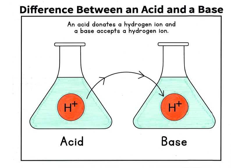 May include: A diagram illustrating the difference between an acid and a base. The diagram shows two beakers, one labeled "Acid" and the other labeled "Base". Each beaker contains a solution with a red circle representing a hydrogen ion (H+). An arrow shows the hydrogen ion moving from the acid beaker to the base beaker. The text "An acid donates a hydrogen ion and a base accepts a hydrogen ion." is included.