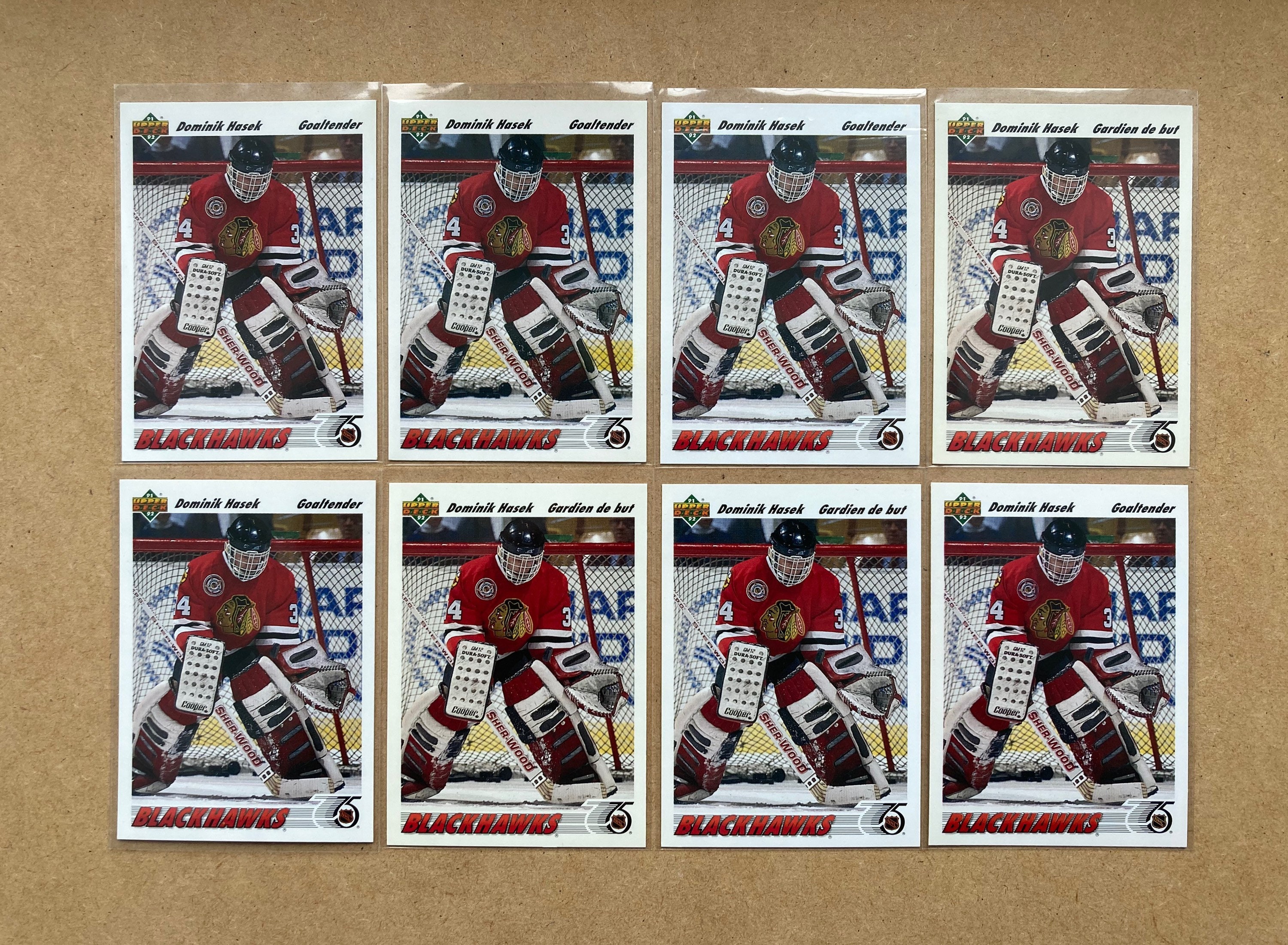 Dominik Hasek Hockey Trading Cards