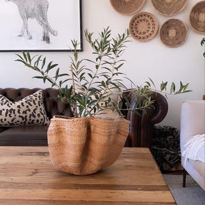 African Basket | Bohemian Decor | Plant Storage, Rattan Pot, Toy Organizer
