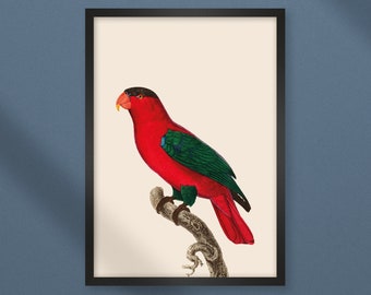 Vintage Retro Parrot Print, Parrot Print, Nature Antique Print, Nature Print, Parrot on Branch