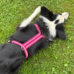 May include: A dog harness featuring a woven paracord design in alternating bright pink and white stripes. The harness includes a black plastic side-release buckle and a silver-toned metal D-ring for leash attachment, worn by a black and white dog.