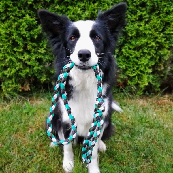 Paracord dog leash Bungee