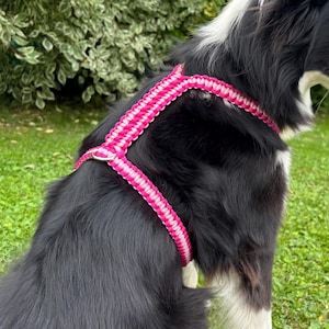 May include: A dog harness featuring a woven paracord design in alternating bright pink and white colors. The harness includes a metal D-ring attachment point positioned on the back, with adjustable straps that secure around the torso and chest.