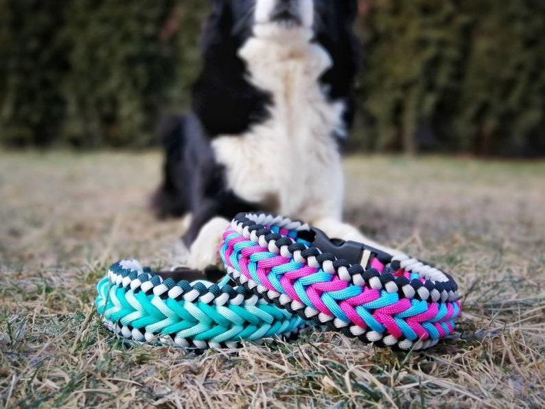 Paracord Dog Collar Arrow custom Colors Size and Materials Etsy