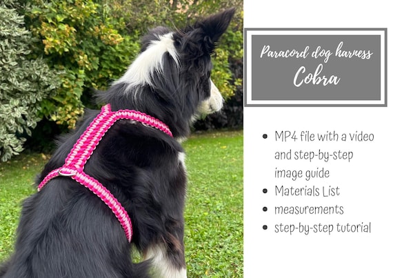 Paracord Dog Harness Tutorial (Cobra Style), DIY Dog Gear Pattern (MP4)