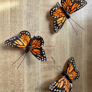 Peut inclure: Trois pinces &agrave; cheveux en forme de papillon avec des ailes orange et noires orn&eacute;es de points blancs. Chaque pince poss&egrave;de un corps noir et deux longues antennes fines et noires. Les ailes pr&eacute;sentent un motif d&eacute;taill&eacute; de sections orange.