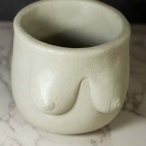 Puede incluir: Un macetero de cerámica gris claro con forma de busto con dos protuberancias redondeadas. El macetero está sobre una superficie de mármol blanco.