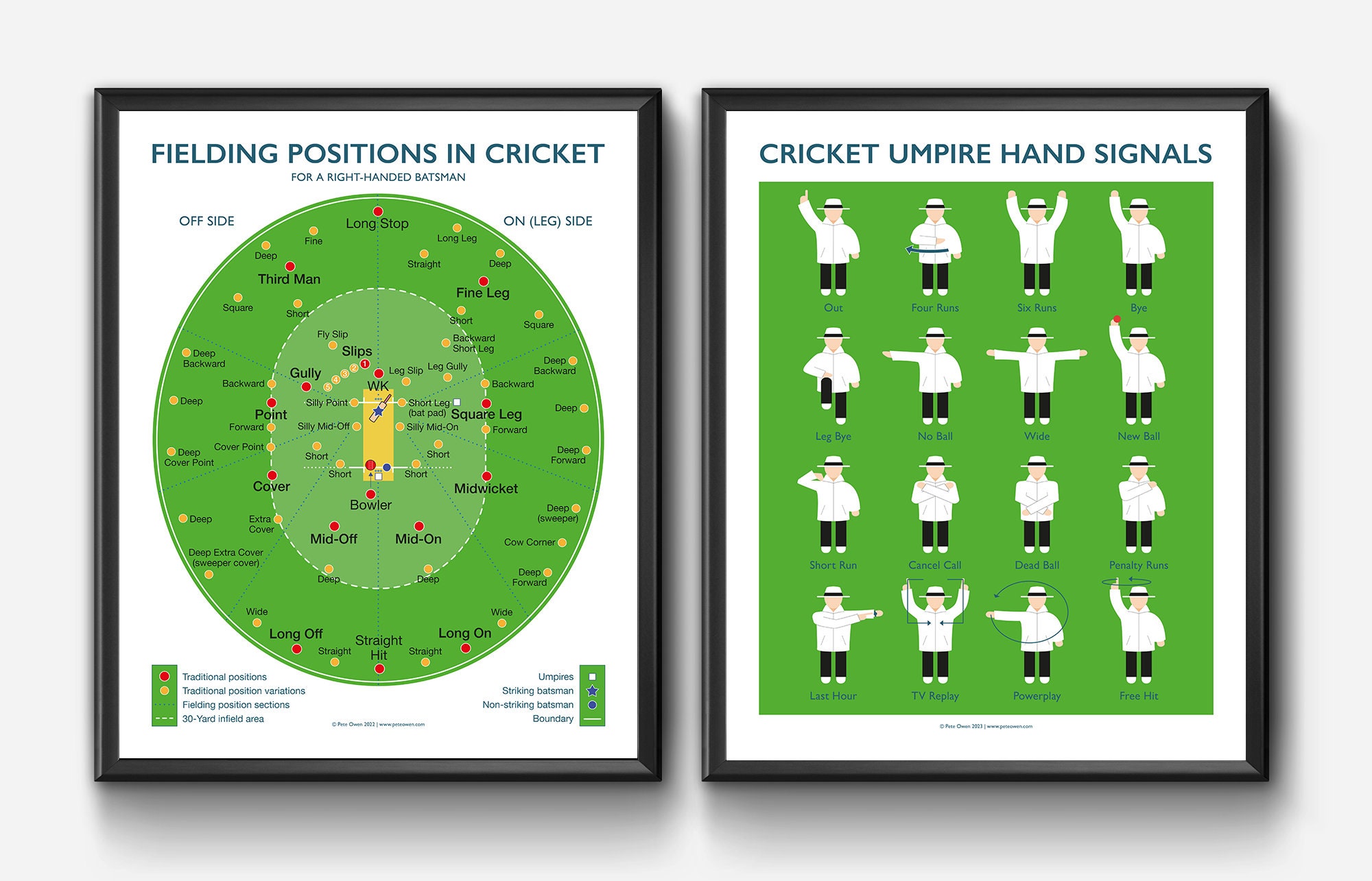 Fielding Positions in Cricket Etsy UK