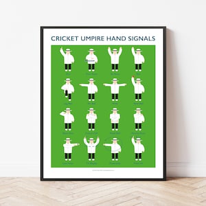 Cricket Umpire Hand Signals
