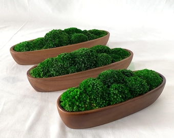 Long Walnut Wood Moss Bowl - Natural Zen Centerpiece | 8-12" Decor Bowl
