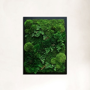 May include: A framed moss wall art piece with a variety of green moss and ferns. The moss is arranged in a natural, organic pattern.