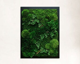 Rectangular Framed Forest Organic Moss Wall Art Sets