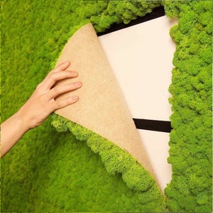 Moss Tile - Reindeer Moss Wall- Green Wall Panel- Preserved Moss - Free Shipping